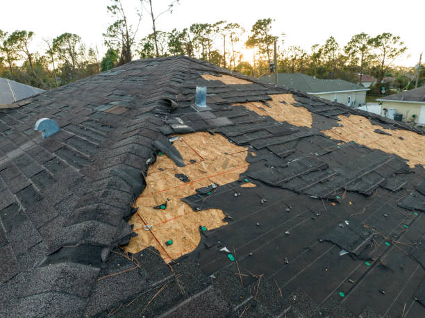 Best Rubber Roofing (EPDM, TPO)  in Greenville, NY